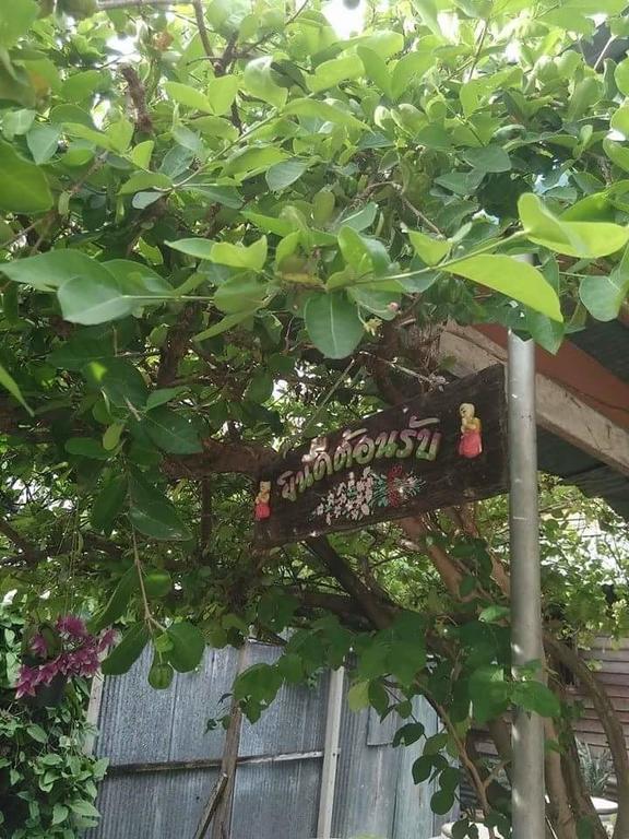 Patchaya Guesthouse Amphawa Exterior photo